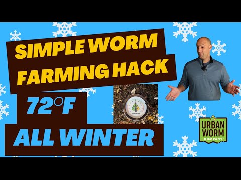 Video: Winter Worm Composting - Tips för maskodling i kallt väder
