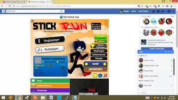 The bug of stick run