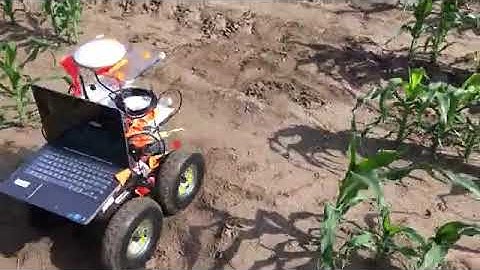 Autonomous navigation in cornfields (4x speed)