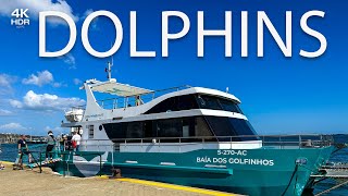 ⁴ᴷ Walking with Dolphins - Setubal, Portugal 🇵🇹