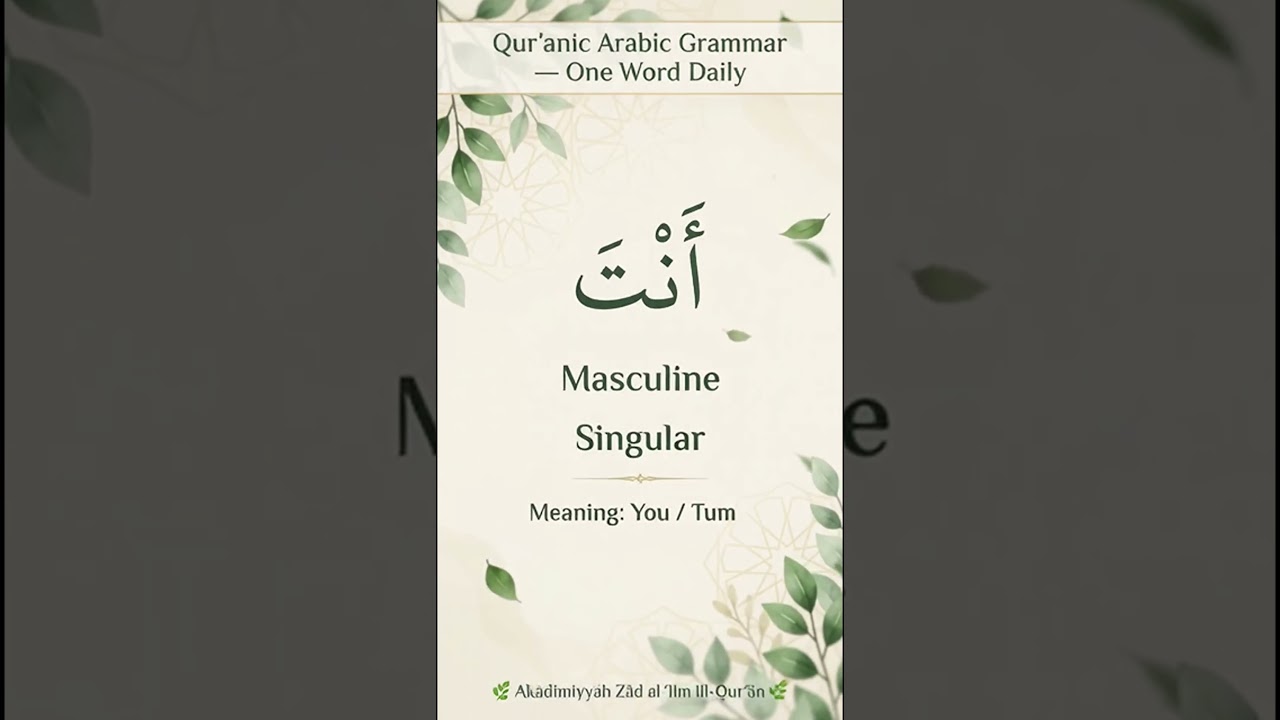 Qur’anic Arabic Grammar — أَنْتِ (Anti) | Feminine Singular Pronoun + Example