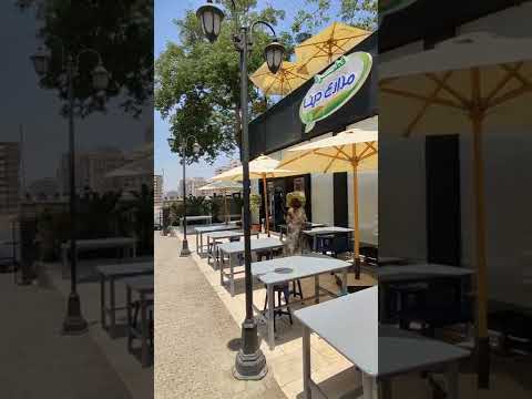مستكشفوود وتجربة فطير مشلتت مزارع دينا