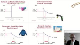 Comprendre les élasticités, le cas de l'élasticité-prix de la demande. (ECONOMIE)