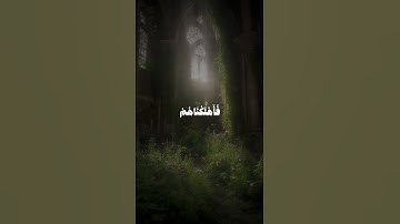 سورة الشعراء| الآية 135-140.