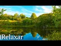 Acalmar - Música com Inspiração Celta, Harpa e Flauta Étnica Relaxante – Tranquilizar os Pensamentos