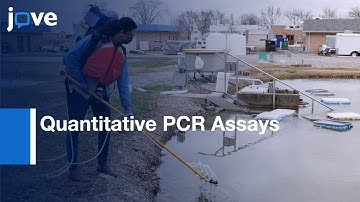 Quantitative PCR Assays for Environmental DNA Applications | Protocol Preview