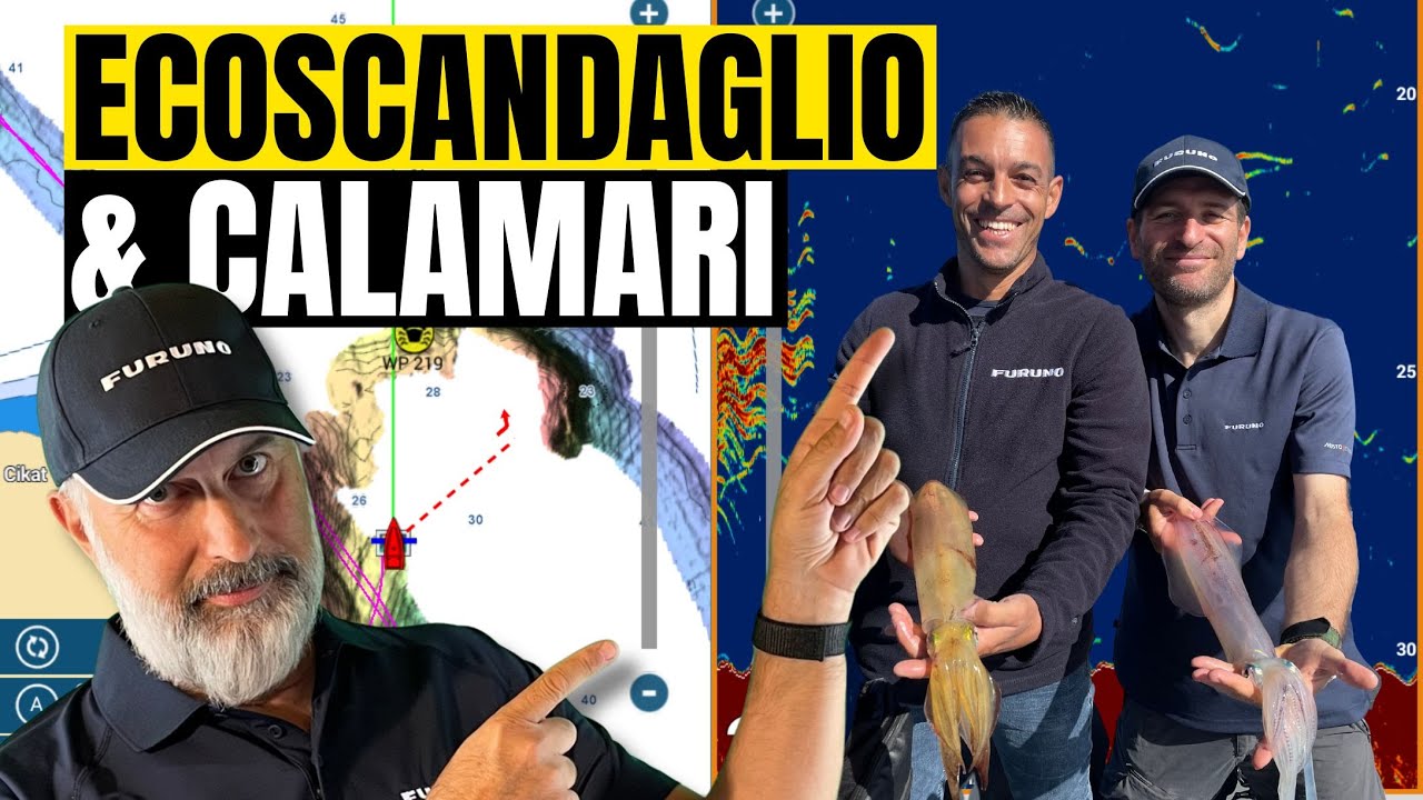 🦑PESCA CALAMARI: Cercarli, Trovarli e Riconoscerli sull'Ecoscandaglio