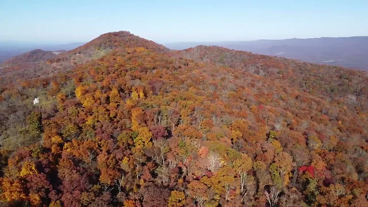 WV near Mooresfield