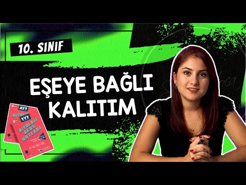 12) EŞEYE BAĞLI KALITIM - KALITIM 5 | 10. SINIF | TYT BİYOLOJİ DERS NOTLARI | 2024