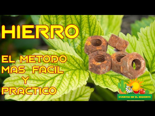 Sulfato-hierro-granulado-clorosis-férrica-amarillamiento-plantas-ferroso