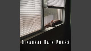 Rainy Day Catnap