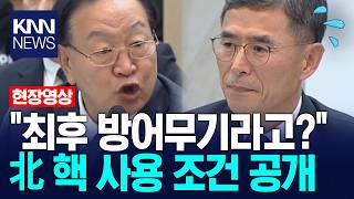A Last-Resort Defensive Weapon North Korea's Nuclear Use Conditions Revealed / KNN
