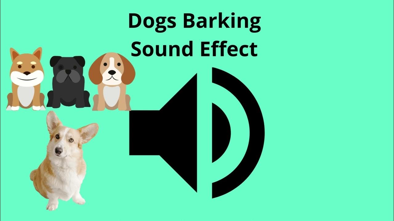 Dogs Barking Sound Effect YouTube