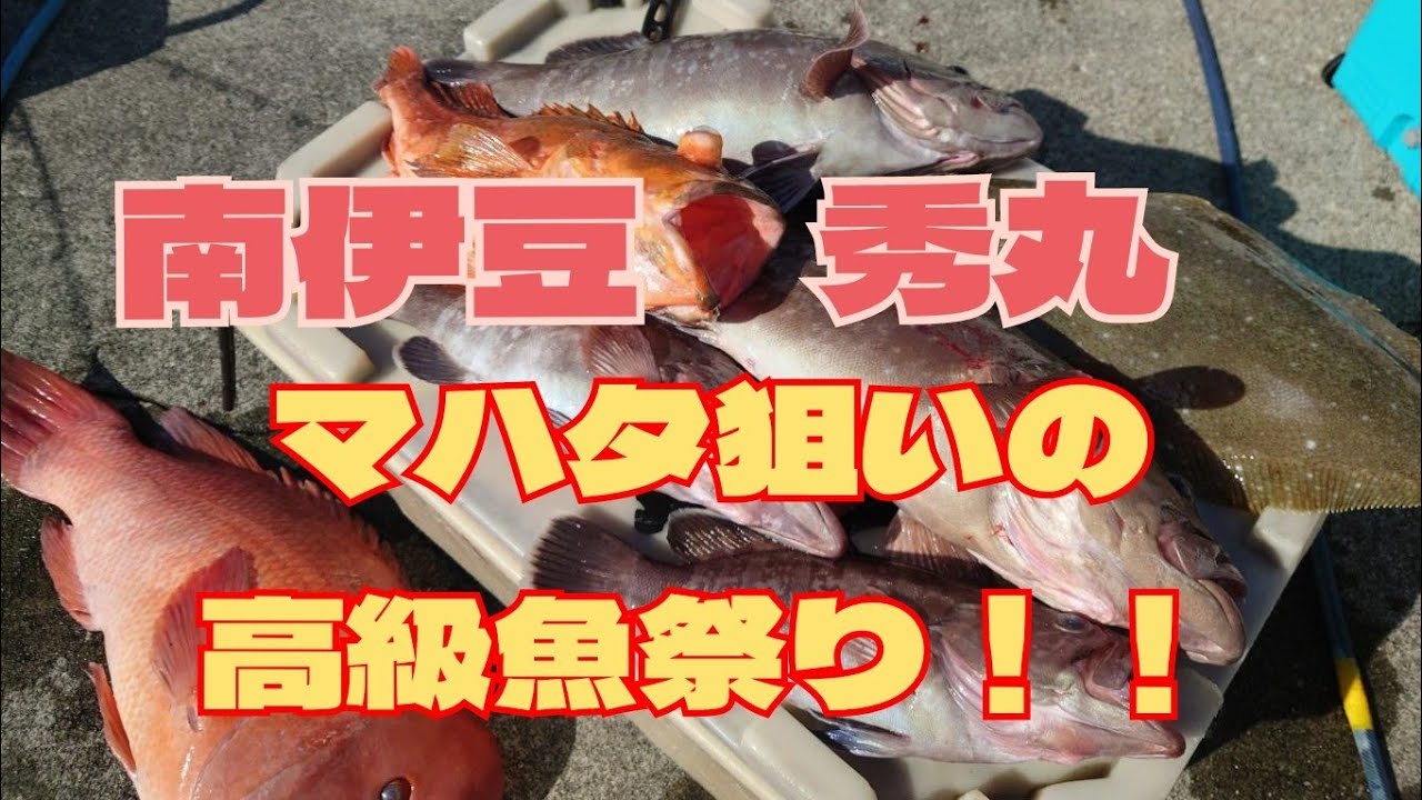 〚南伊豆　秀丸〛泳がせ釣り　マハタ狙いの高級魚祭り！