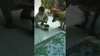 Just lounging around demanding milk #funny #cute