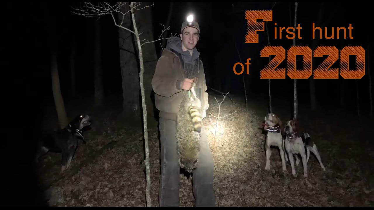 2020 Arkansas Coon Hunting YouTube