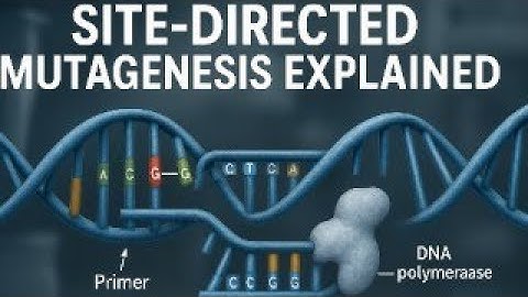 Site-Directed Mutagenesis | Genetic Engineering Animation for CSIR NET & Life Science Exams
