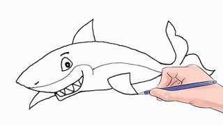 How to Draw a Shark Easy Step by Step