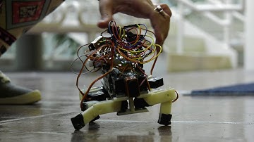 Robotics Maker Workshop for Veterans