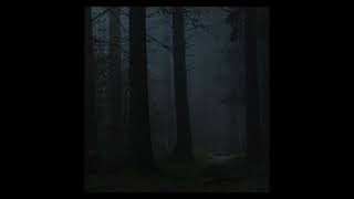 Sold Dark Distorted B Type Beat Aokigahara