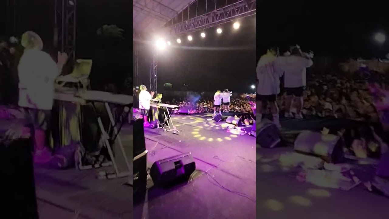 pertelon  koplo live