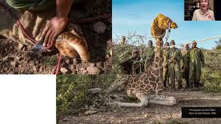 DAY 2 Large Animal Rescue - Technical Review of Case Studies.