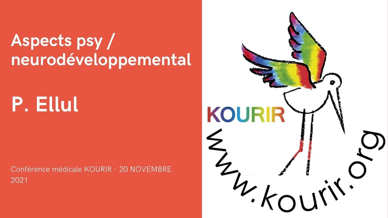 L'AJI et les aspects psy / neuro-développemental par P Ellul - KOURIR