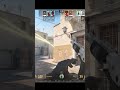 HE - COUNTER STRIKE 2  #cachorro1337 #counterstrike #gaules #fallencsgo #fallen #csgoclips #gaming