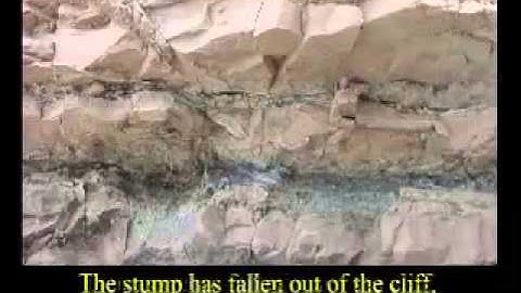 02  Complete Creation, 2nd Ed , Part 2 with Wazooloo