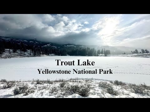 Yellowstone Winter Hiking: Trout Lake