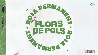 Video thumbnail of "ROBA ESTESA - 5. Flors de pols (Rosa Permanent, 2021)"