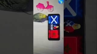 Morocco vs Scotland prediction- FIFA World Cup 2026 #fifa #football #game #Scotland #morocco