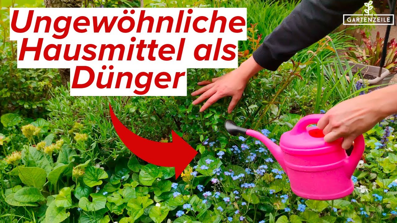 Top 5 ungewhnliche Haumittel als Dnger [darauf kommst du nie]