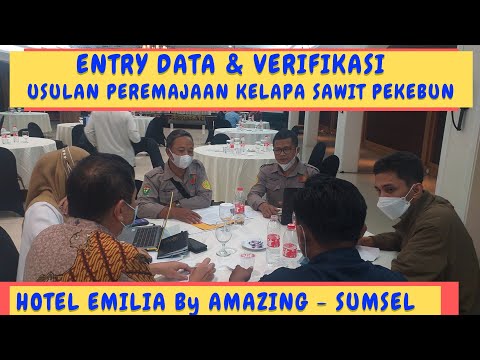 Entry data dan verifikasi usulan peremajaan kelapa sawit pekebun | hotel emilia by amazing