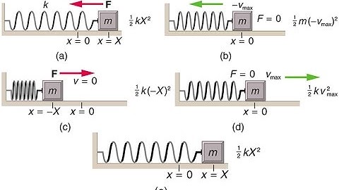 Simple Harmonic Motion Intro Video Part 2