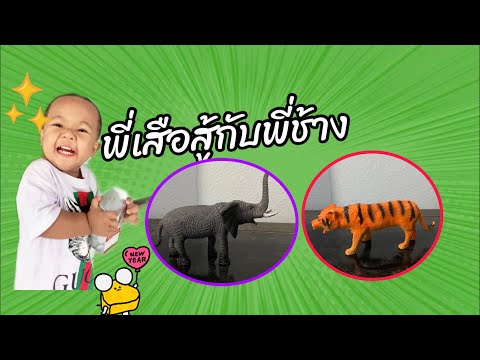 เสือสู้กับช้างEP1(โมเดลสัตว์)