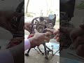 Honda Dio#ihavethisthingwithplants #rails #viral video#million #views #automobile
