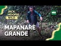 Mapanare grande - Jack Hoopia Wild