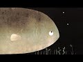 After Effects Animation - This Is Not My Hat by Jon Klassen