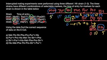 DNA mapping (interrupted mating)