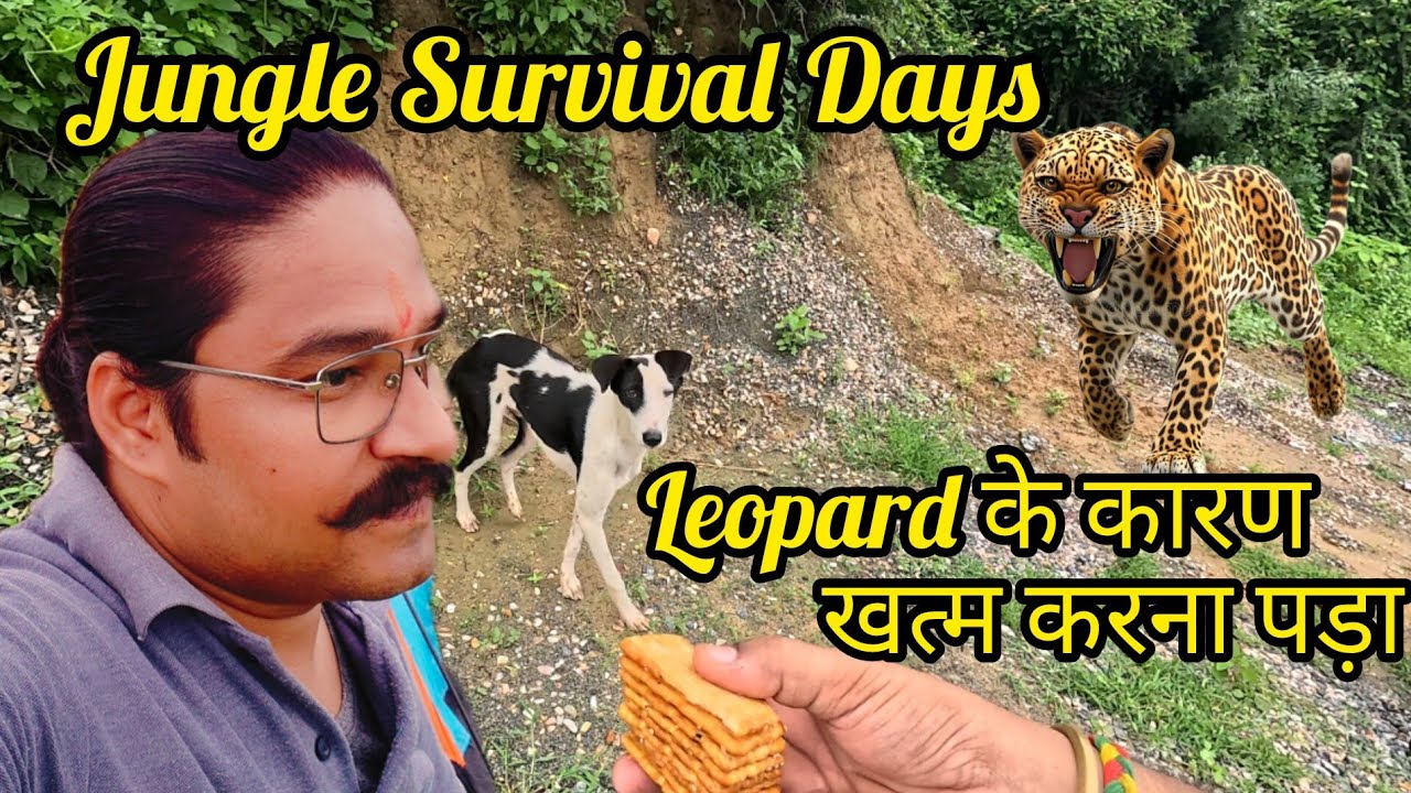 Jungle Survival Day 5 | Roadside Camping & Hungry Dog Story | Emotional Ending ||