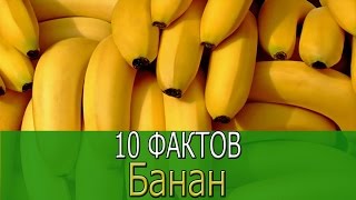 10 фактов о Банане! 10 фактов о Банане!