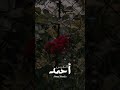 حالات واتس اب دينيه القارئ احمد النفيس 
