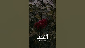 حالات واتس اب دينيه القارئ احمد النفيس