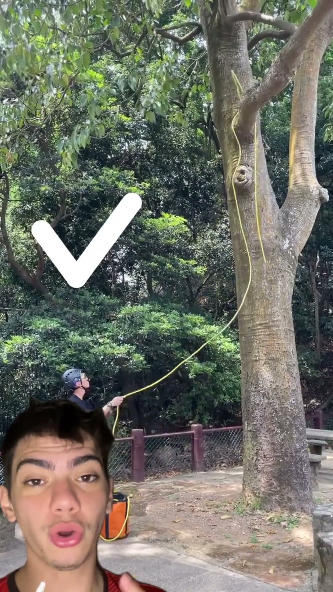 Aprenda com esse bombeiro o jeito certo de passar uma corda pela árvore sem ela cair! ??