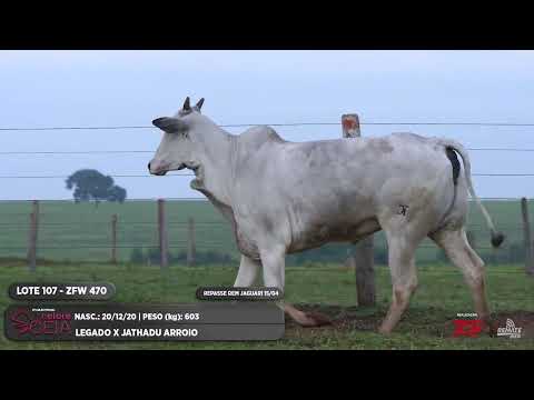 LOTE 107 ZFW 470 ZFW 471
