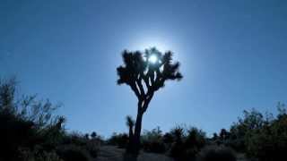 Surah 69 Al Haqqah ( The Sure Reality ) 01- 08