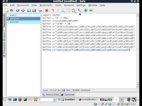 HSIYF2 vuln.c exploit part2
