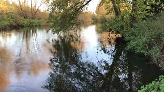 Bobs Island - River Trent