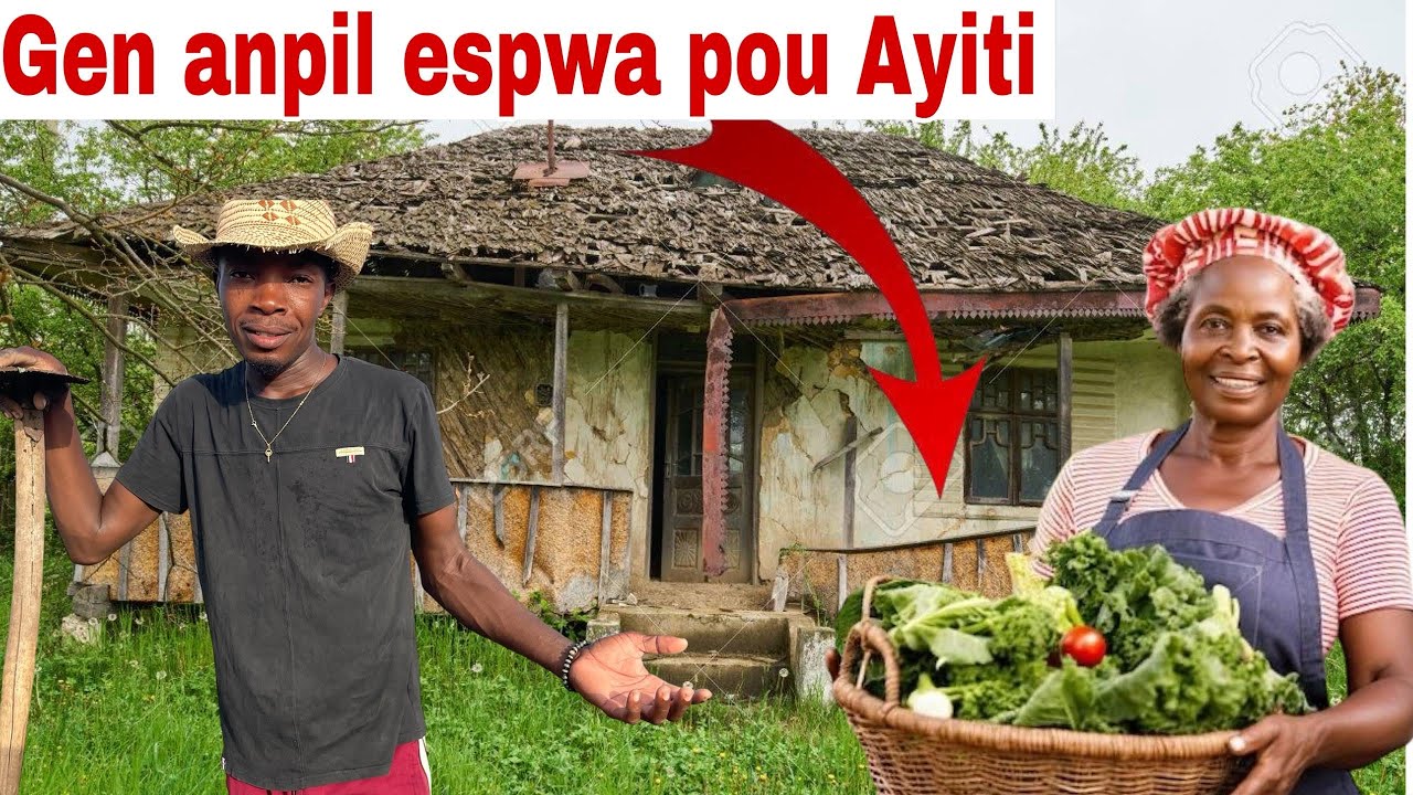 Agrikilti ka sove Ayiti/mwen plante yon gros jardin Epinard.